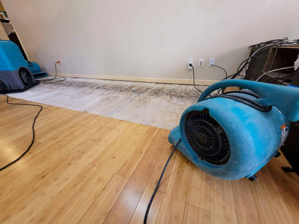 Reliable Basement Flood Cleanup contractor in Clyde, NC by Hirex Water Damage