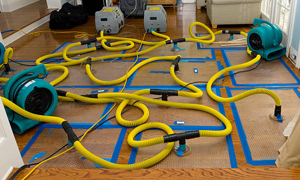 Professional Basement Flood Cleanup technician working in Clyde, NC